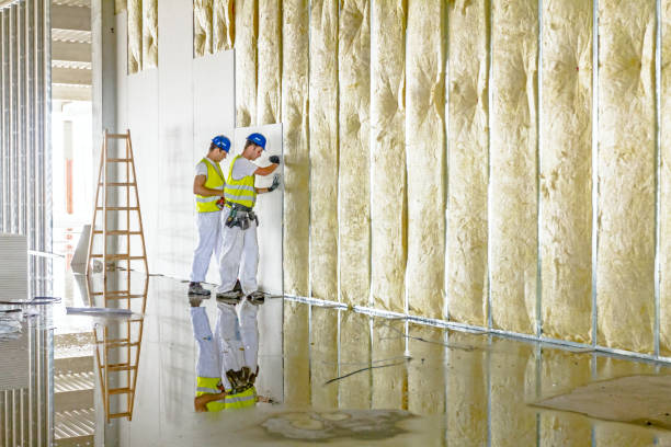 Best Commercial Insulation in Glendale, CA